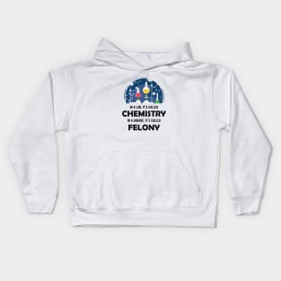 Chemistry - In lab, It's called chemistry. In garage, It's called felony Kids Hoodie